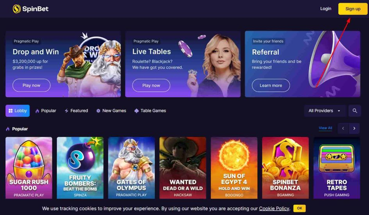 spinbet Gameplay